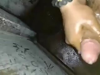 Oily Jerk Off