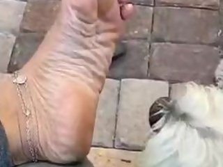 Young Curvy Indian Feet - GODDESSPERSIA71 Twitter Thot