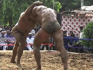 Indian Wrestler's hot ass